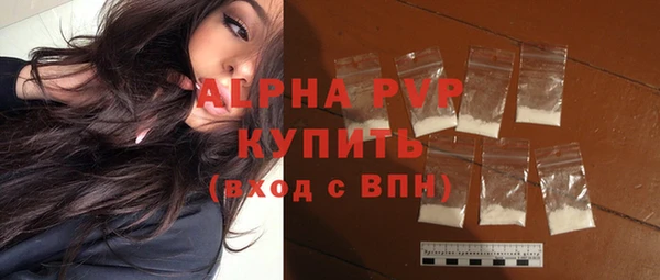 хмурый Магас