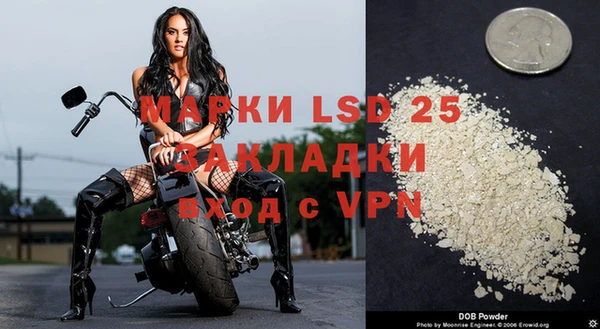 хмурый Магас