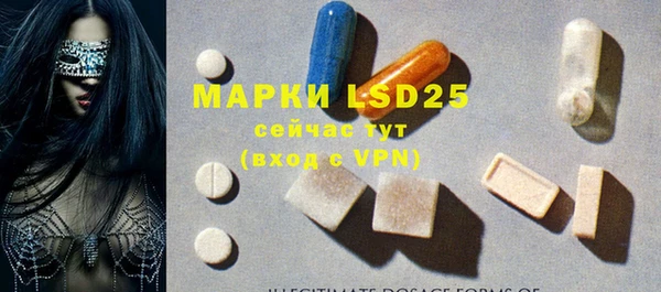 хмурый Магас