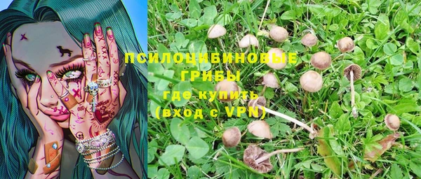 хмурый Магас