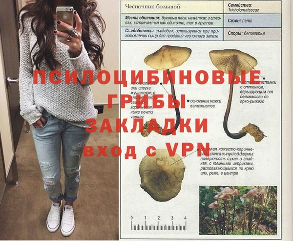 хмурый Магас