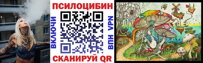 купить наркоту  Подольск  нарко площадка какой сайт  Галлюциногенные грибы Psilocybine cubensis 